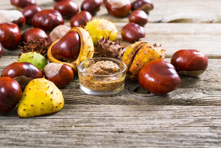 Horse chestnuts